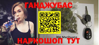 амф Гусев