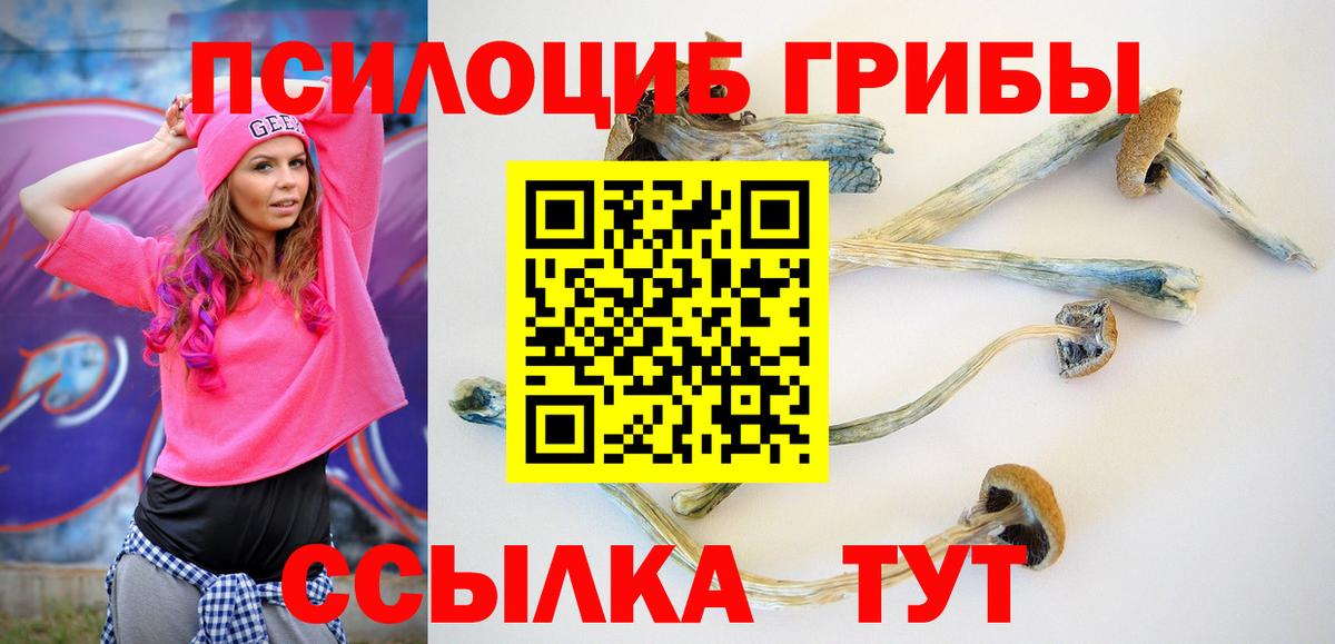 Галлюциногенные грибы ЛСД Можга