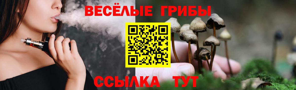 Можга  Псилоцибиновые грибы мухоморы  Галлюциногенные грибы мухоморы  сколько стоит  Вход с VPN 
