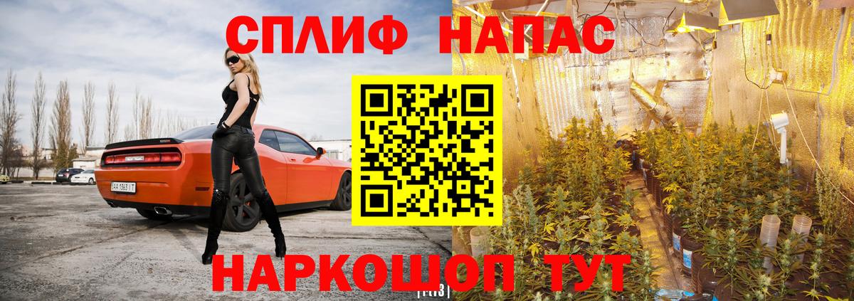Можга  МАРИХУАНА планчик  Бошки Шишки Ganja  Бошки марихуана VHQ  Вход с VPN 